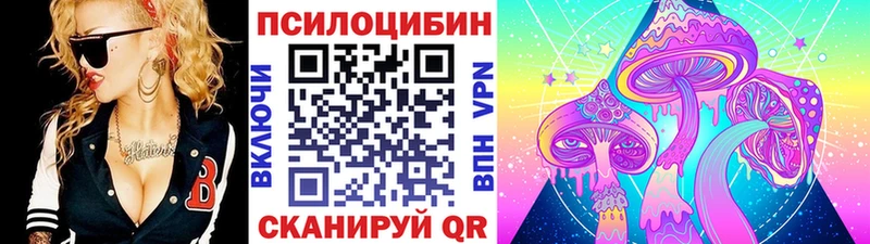 Псилоцибиновые грибы мицелий hydra как войти Лермонтов